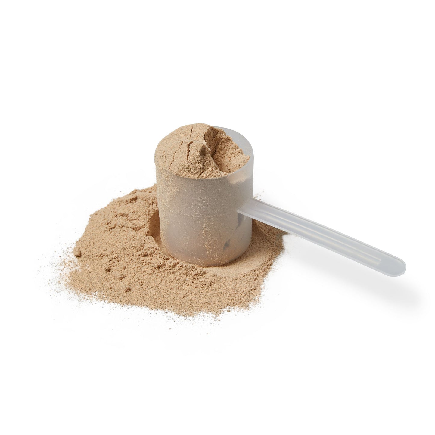 Best Protein Powder Weight Loss